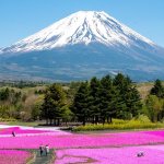 Mount Fuji