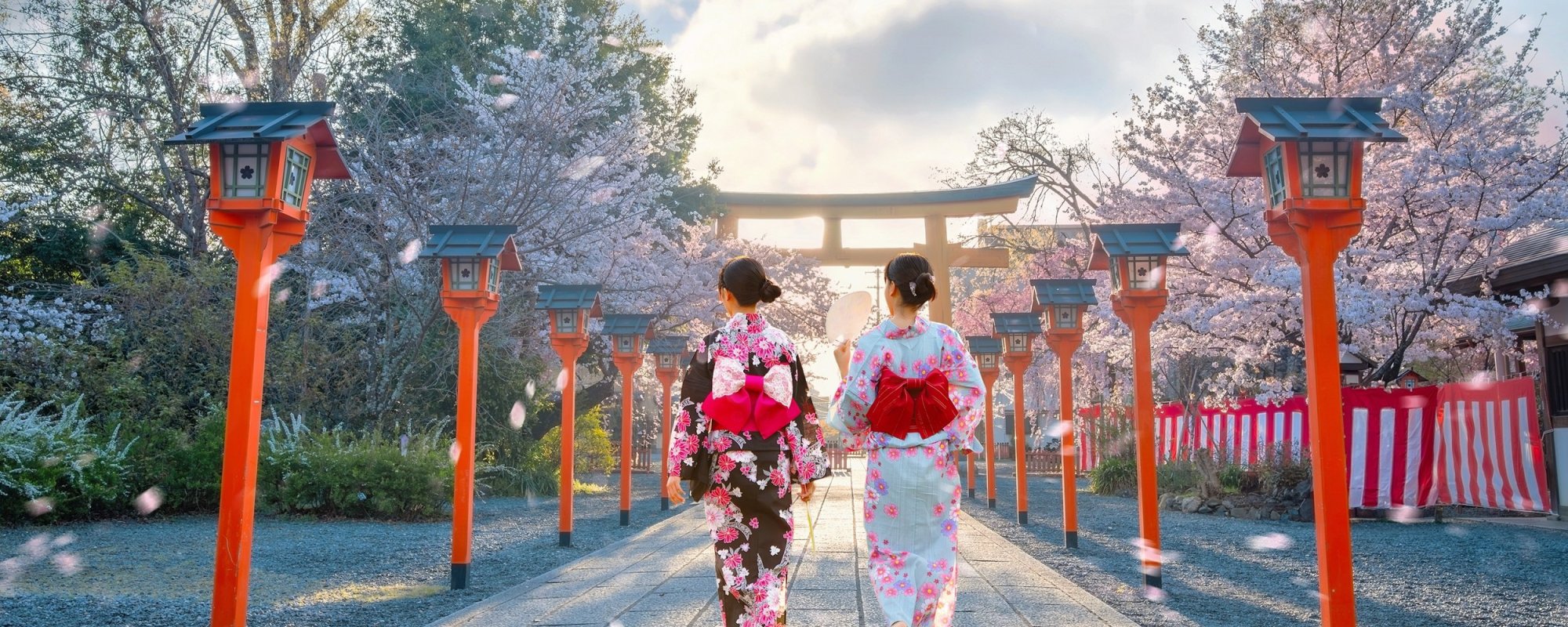 Visit Japan For 14 Days!