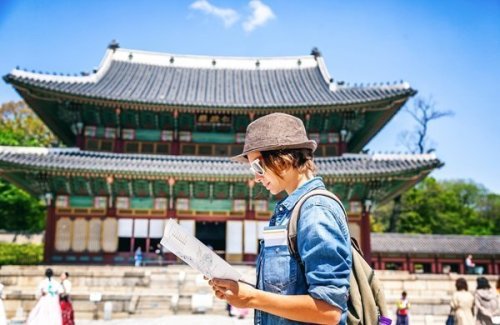 Japan Travel Trends