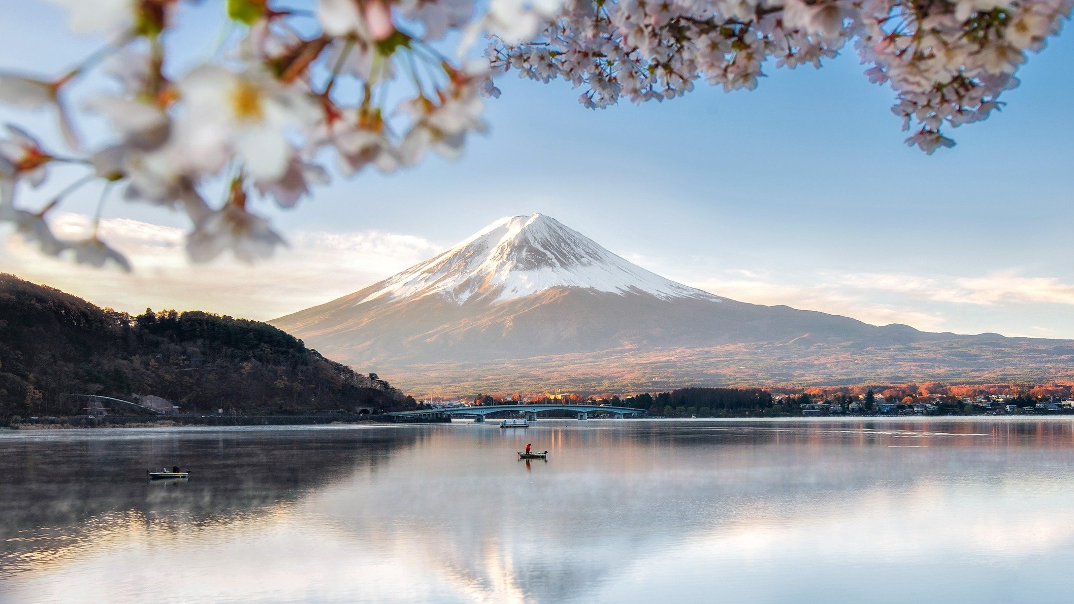 This Is The Picture Of Trees,montains,hills And Sea In This Picture You Can Sea The Hill View Along With Trees .beautiful Tree And Mountains