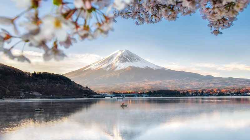This Is The Picture Of Trees,montains,hills And Sea In This Picture You Can Sea The Hill View Along With Trees .beautiful Tree And Mountains