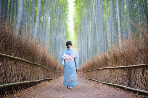Asain,woman,wear,kimono,japanese,traditional,standing,and,looking,landscape