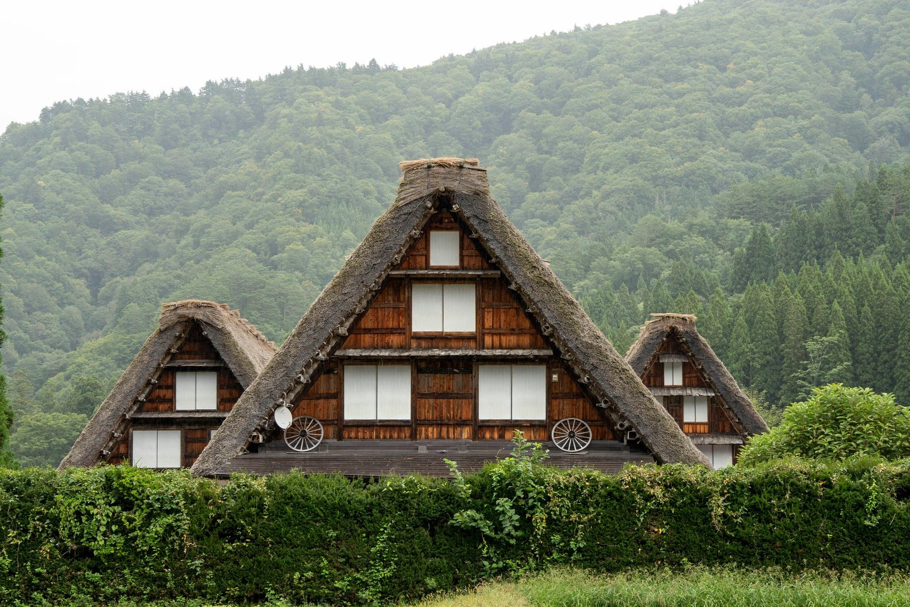 21 Day Japan Tour Package Pexels 29241282