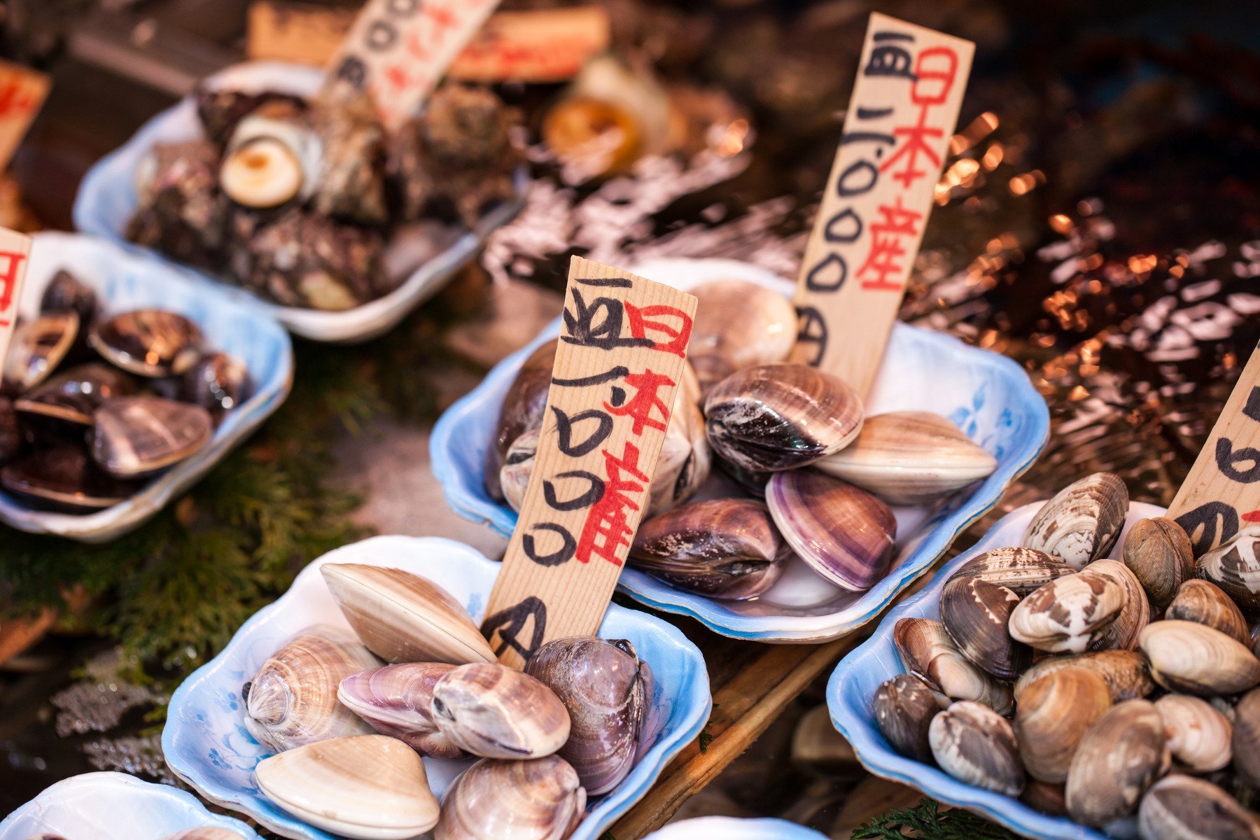 Tsukiji Fish Market, Japan.