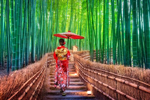 Bamboo,forest.,asian,woman,wearing,japanese,traditional,kimono,at,bamboo