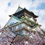 Admire Osaka Castle On A Guided Tour