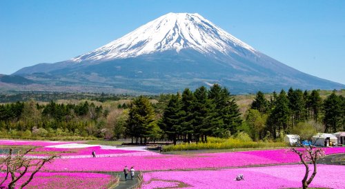 Japan Golden Route Popularity