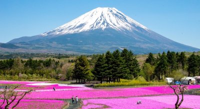 Japan Golden Route Popularity