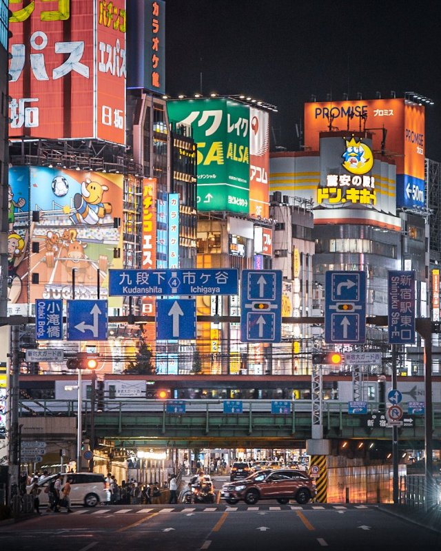 5 Day Pre Post Cruise Tokyo Hakone Package Tour 6