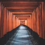 Orange Torii Gates Japan