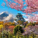 Tour Packages Of Japan