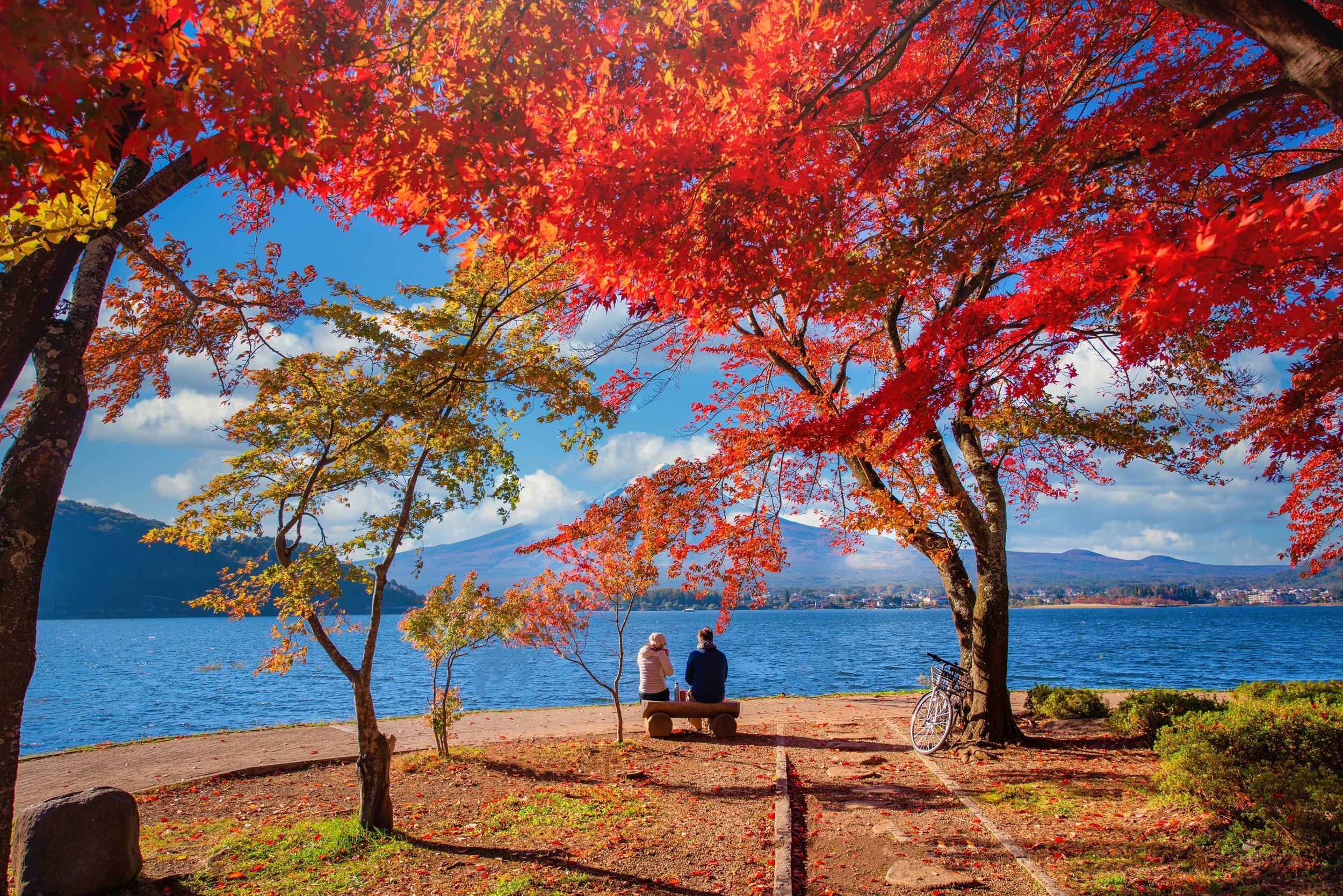 Red Trees And Nature By Lake Kawaguchi Mount Fuji
