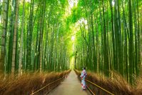 Arashimaya From Kyoto