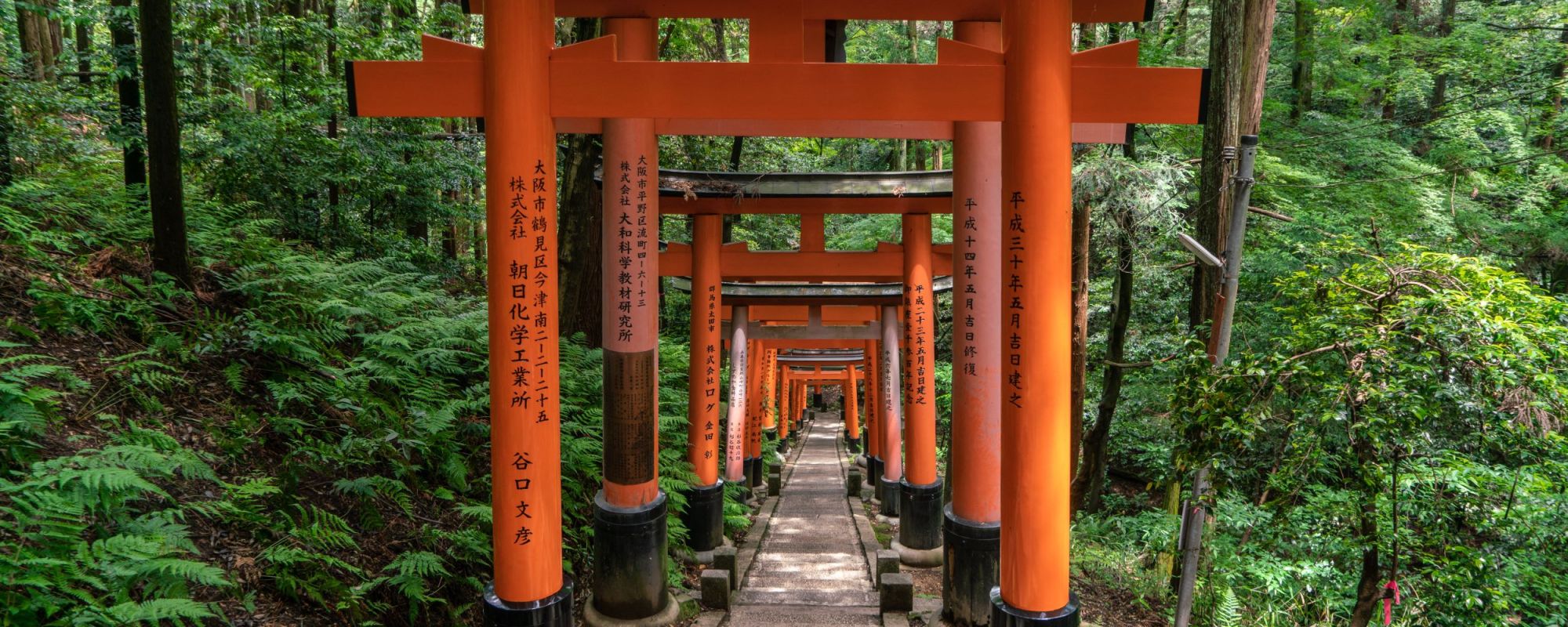 Fushimi Inari Shrine In Kyoto Best Of Japan Tour Package