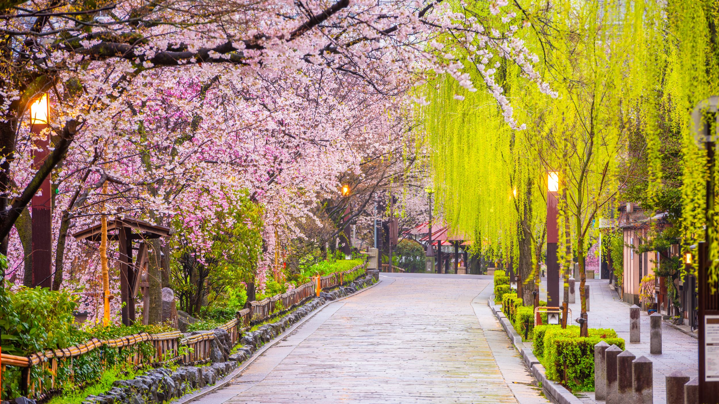 Evening Food Tour Of Kyoto’s Pontocho & Gion Shirakawa -