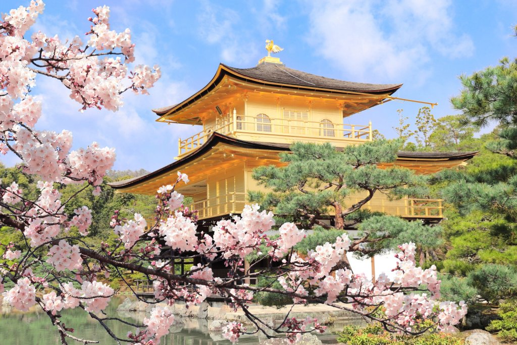 Golden Pavilion Cherry Scaled