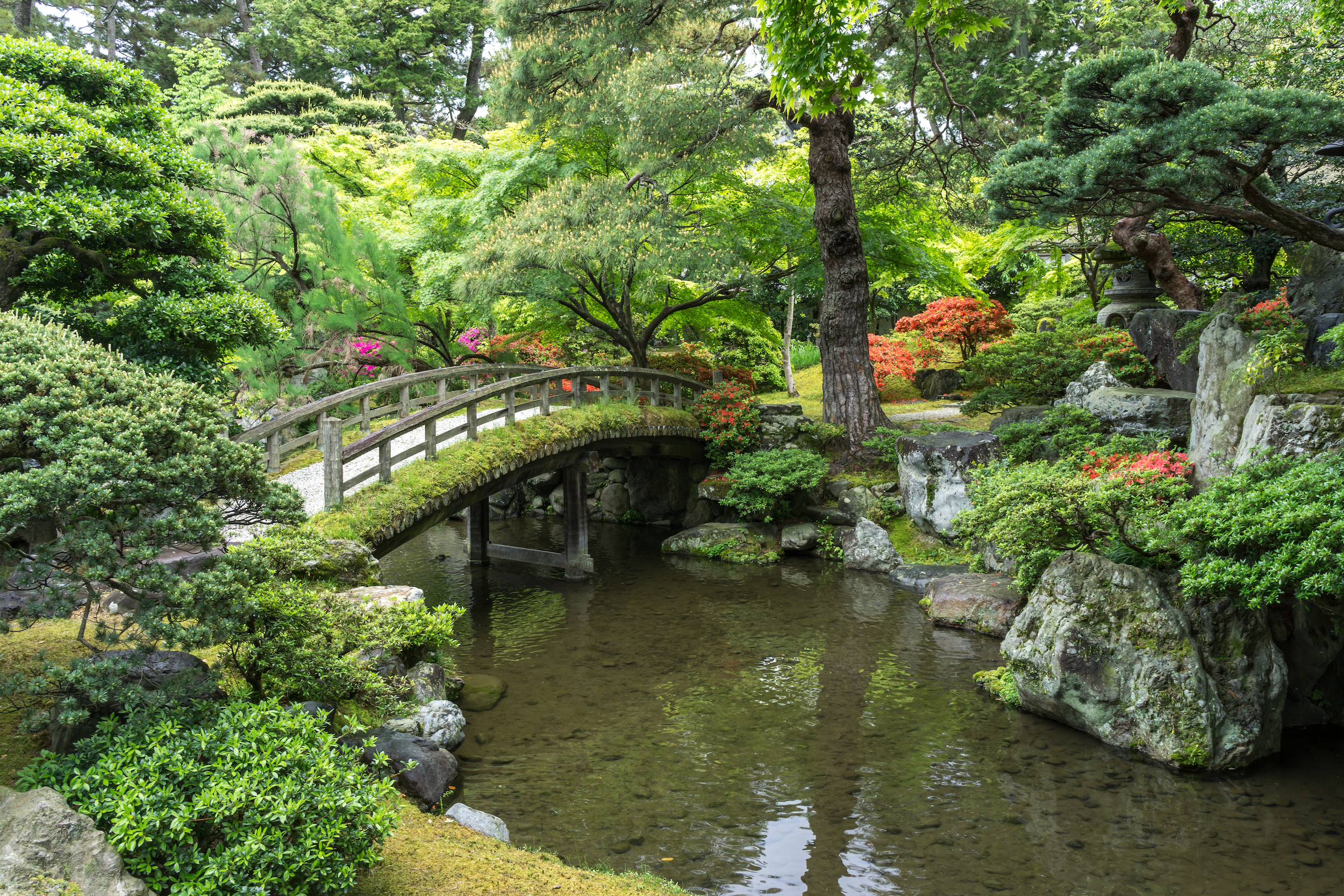 Kyoto Half-day Tour - Gonaitei Garden In Kyoto Imperial Palace In Kyoto, Japan
