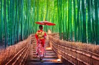 Japan Custom Package Tours