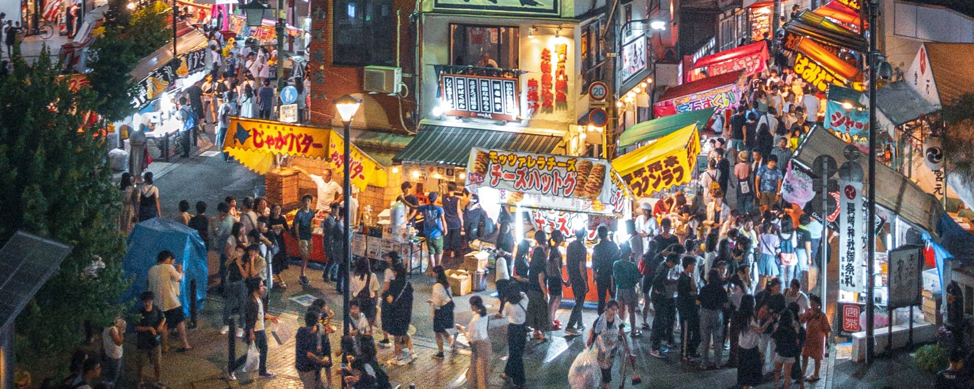Japan Only Package Tours