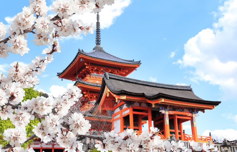 Kiyomizu-dera Temple - 8 Day Osaka, Kyoto & Nara Private Tour Package