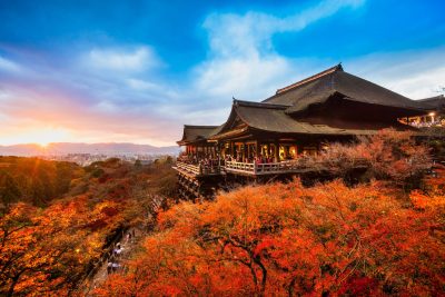 Kyoto Tours