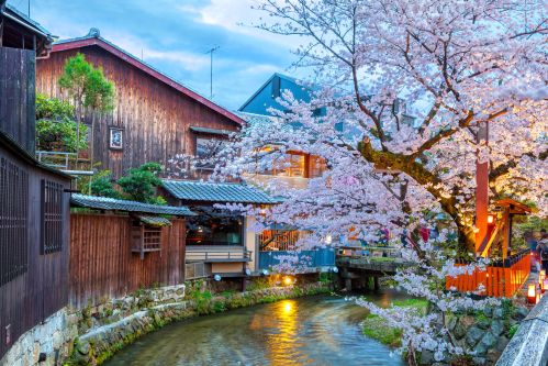 Evening Food Tour Of Kyoto’s Pontocho & Gion Shirakawa - Kyoto, Japan At The Shirakawa River In The Gion District During The Spring Cherry Blosson Season.