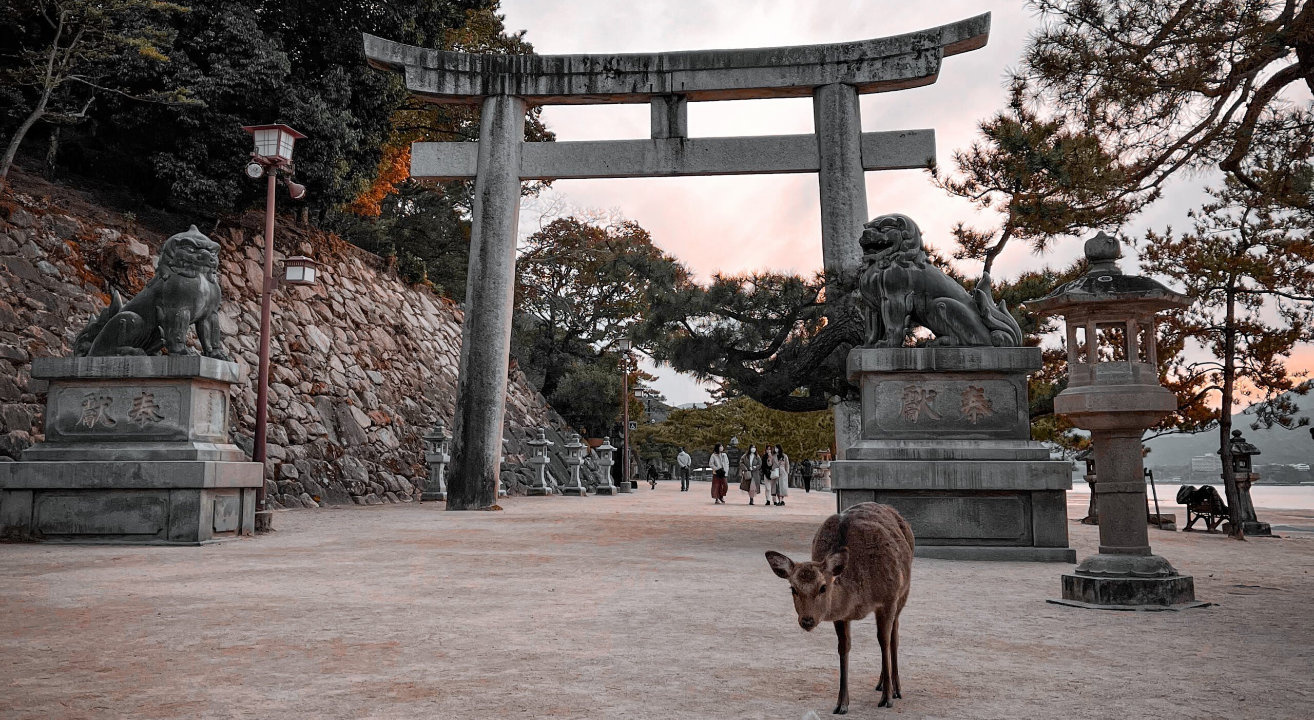 Nara