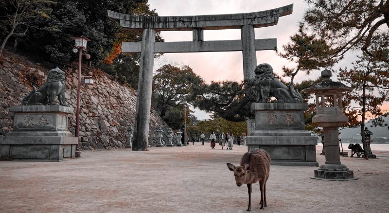 Nara
