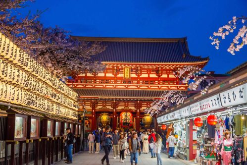 Many Tourists In Front Of Sensoji Temple In Asakusa Where Cherry Blossoms Are Blooming At Night