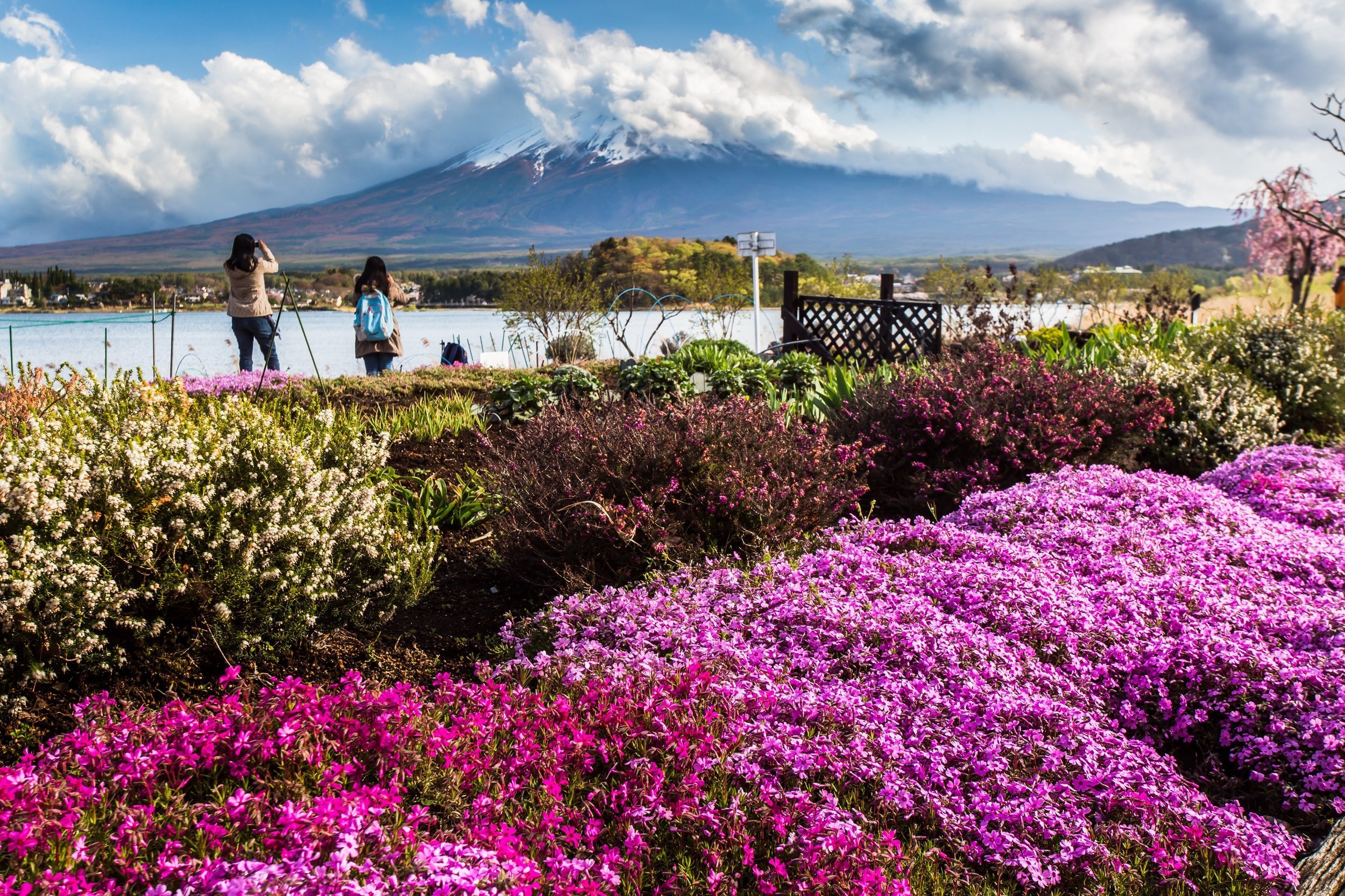 Mount Fuji Lake Kawaguchi Japan Morning Tour Golden Route