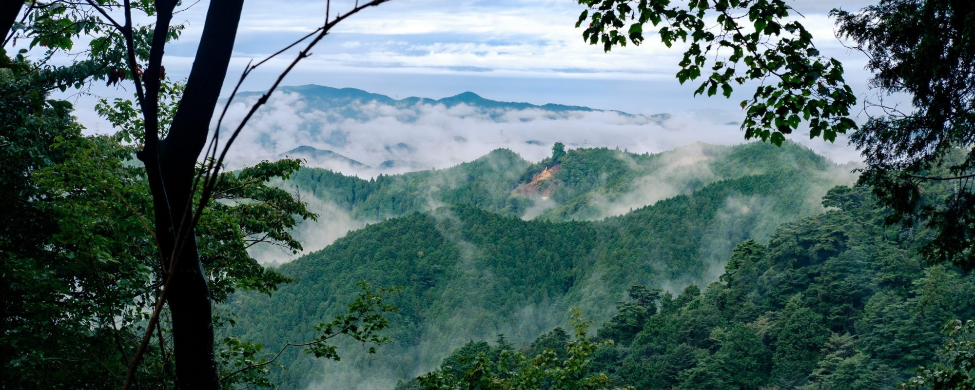 Mount Koya Japan Scaled
