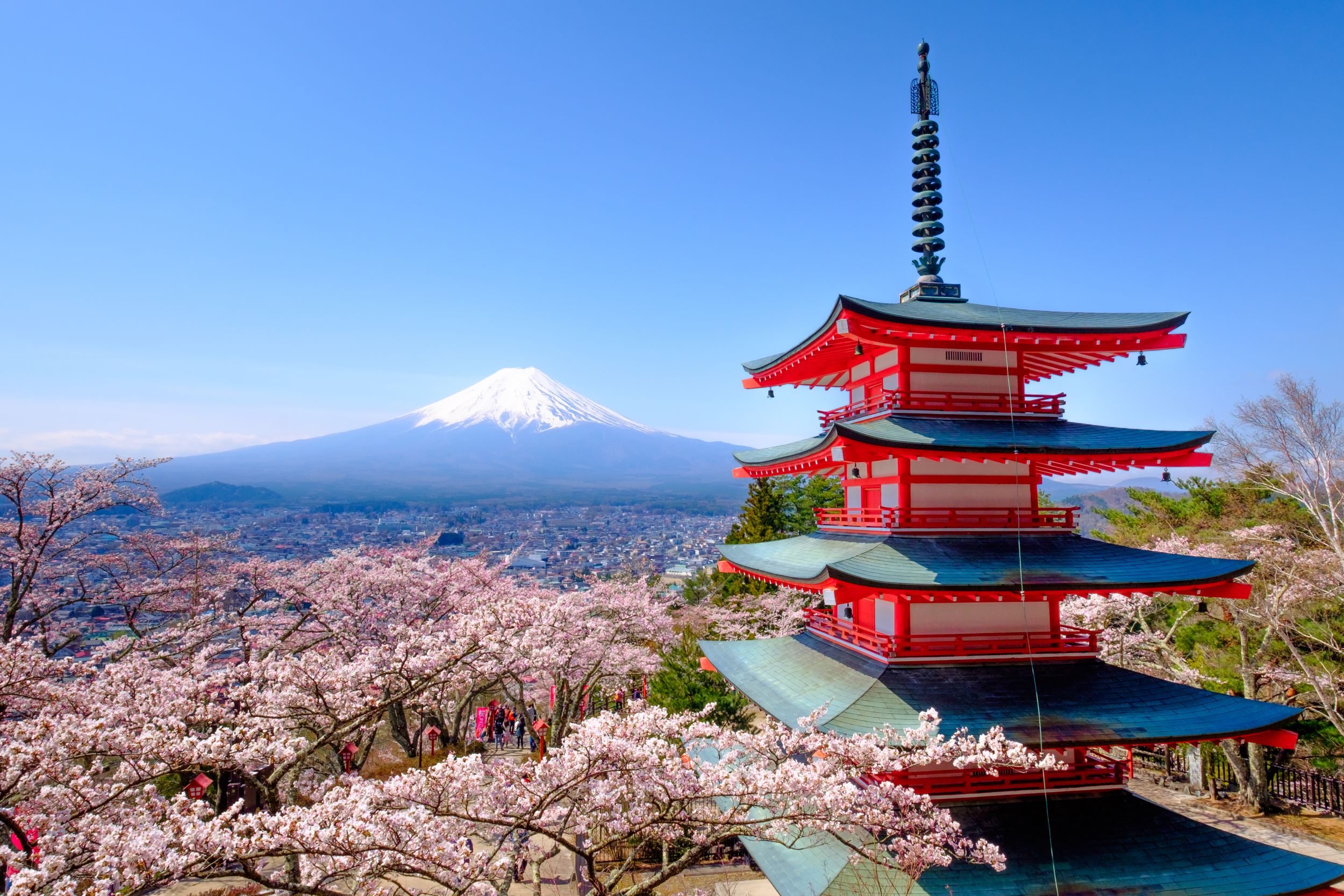 Mount_fuji_private Tour 2