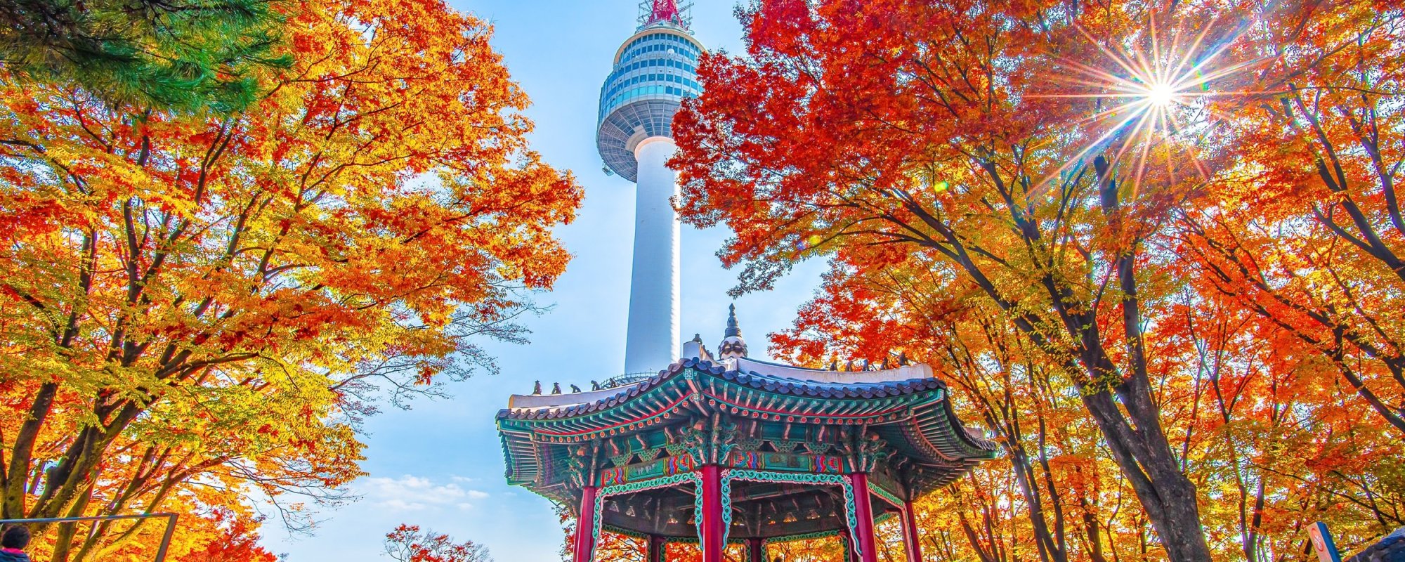Korea Package Tours