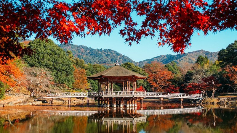 Hexagonal Wooden Pavilion In Nara Park