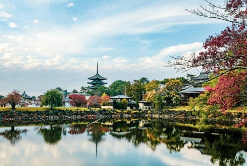 Nara Park Lake