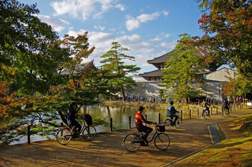 Nara Bike Riding Near Todai-ji Temple Lake