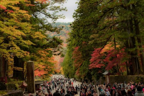 Nikko In Autumn