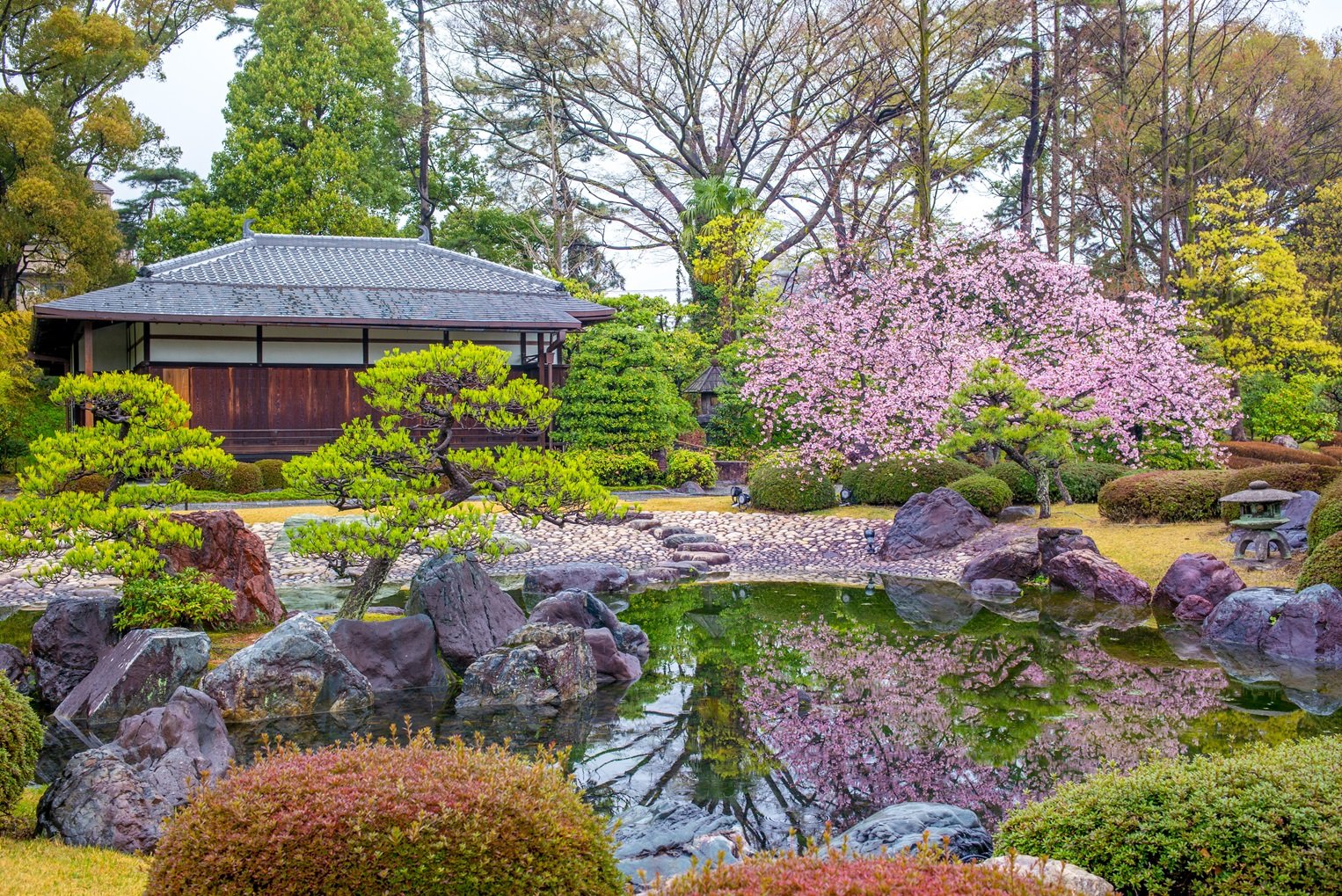 Kyoto Morning Tour From Kyoto - Ninomaru Garden In Nijo Castle In Kyoto, Japan