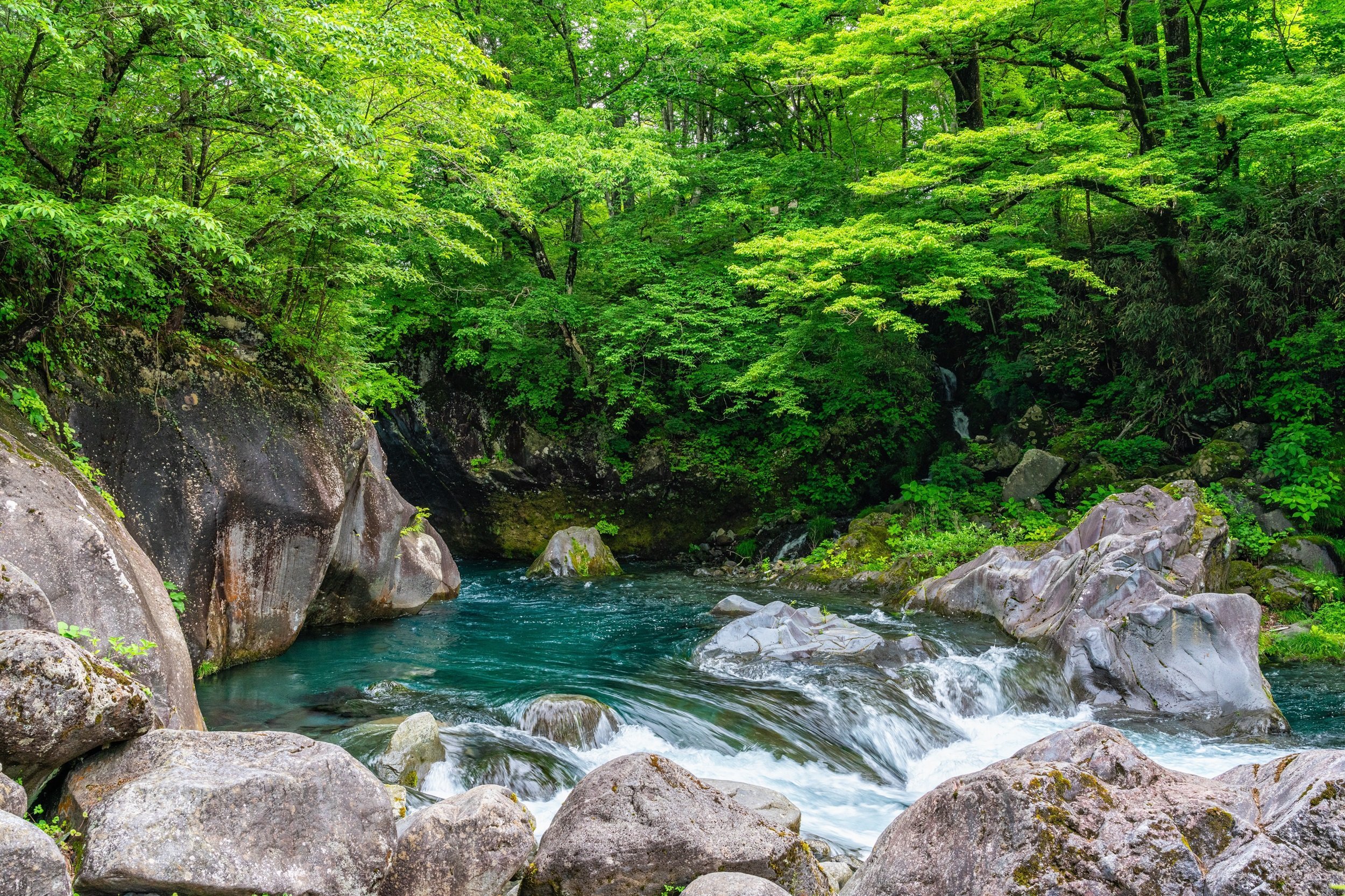 World Heritage Nikko Walking Tour - Scenic Sight In The Famous Kanmangafuchi Abyss In Nikko. Tochigi Prefecture, Japan.