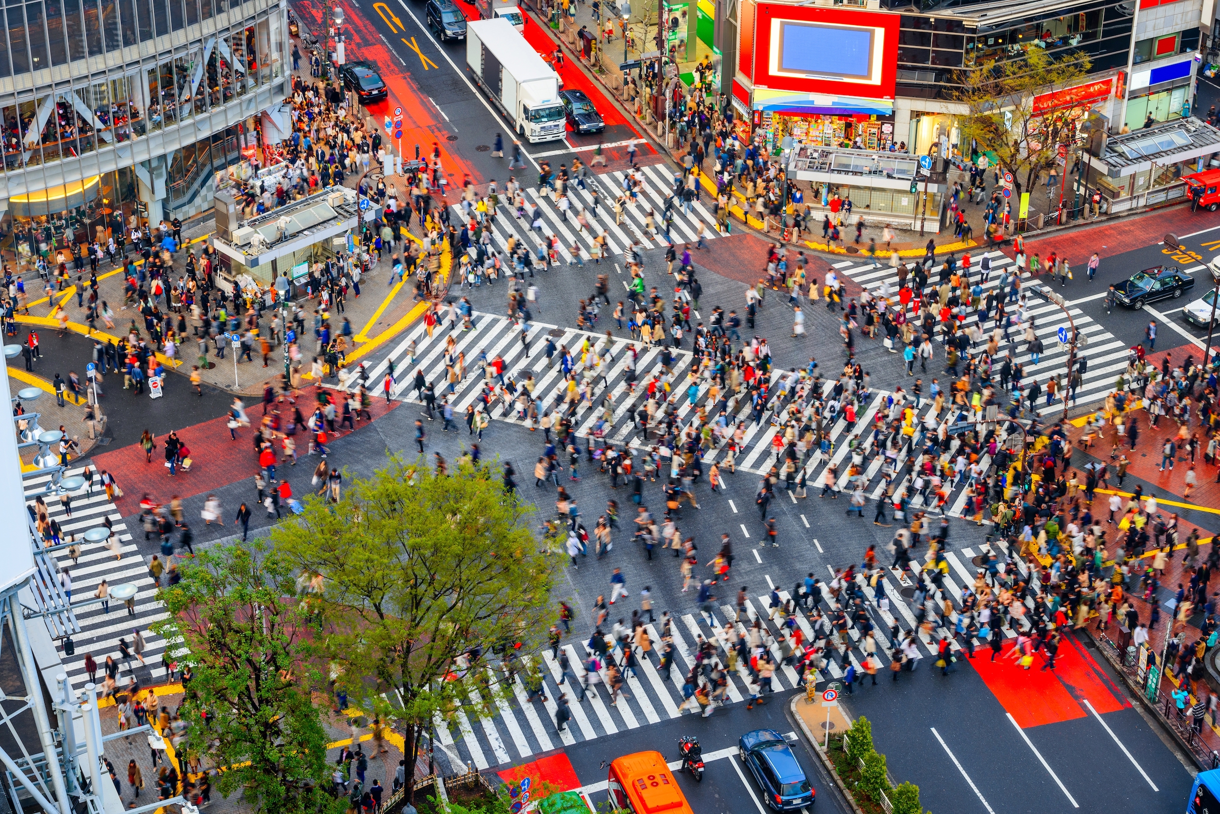Shibuya, Tokyo, Japan Crosswalk And Cityscape In The Late Afternoon.