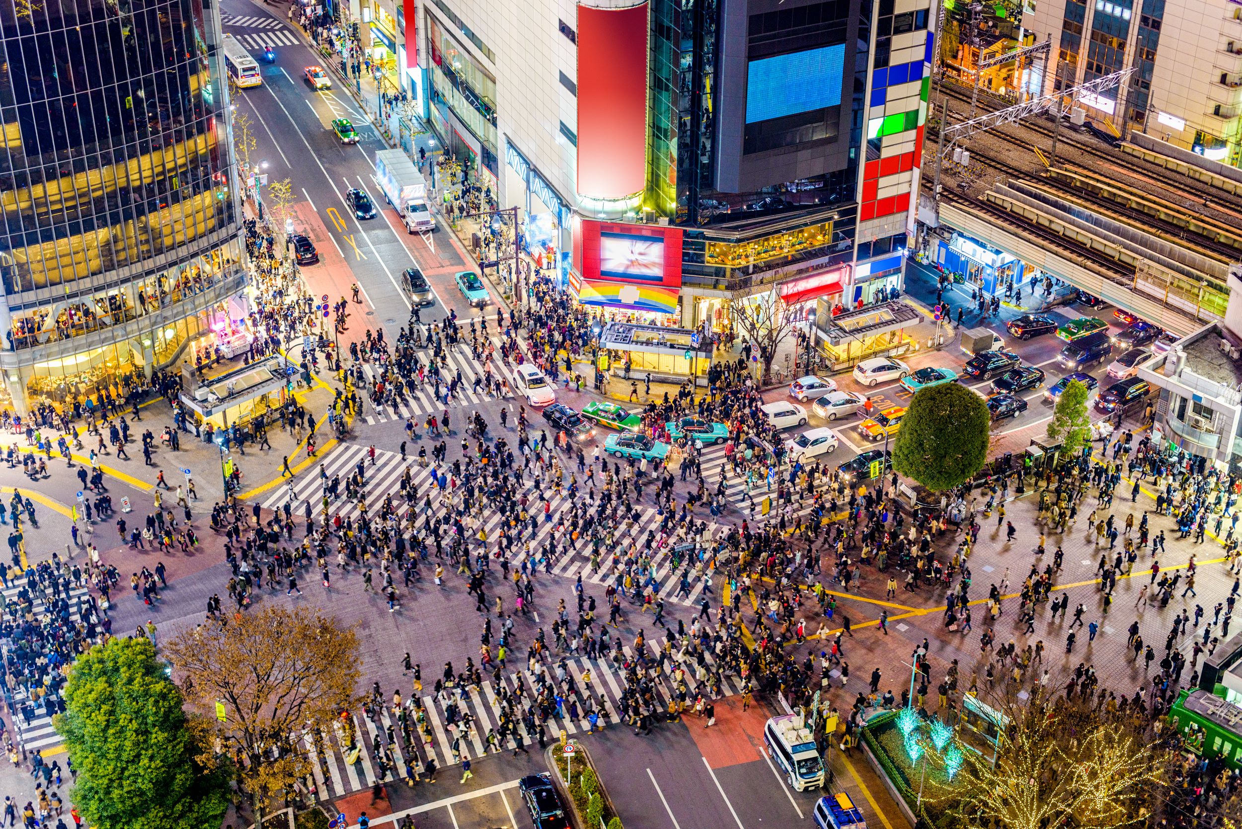 Bar-hopping Night Tour Of Shibuya Tokyo Japan