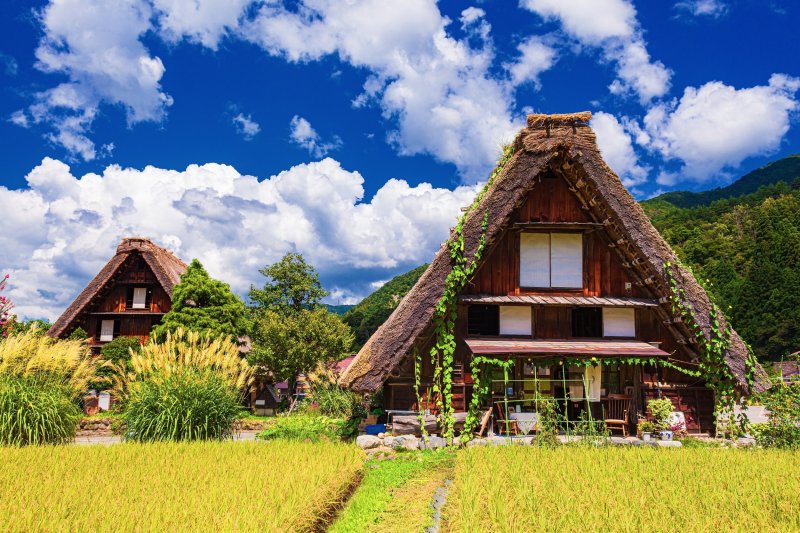 Shirakawa-go Tour - 14 Day Private Golden Route Tour Package