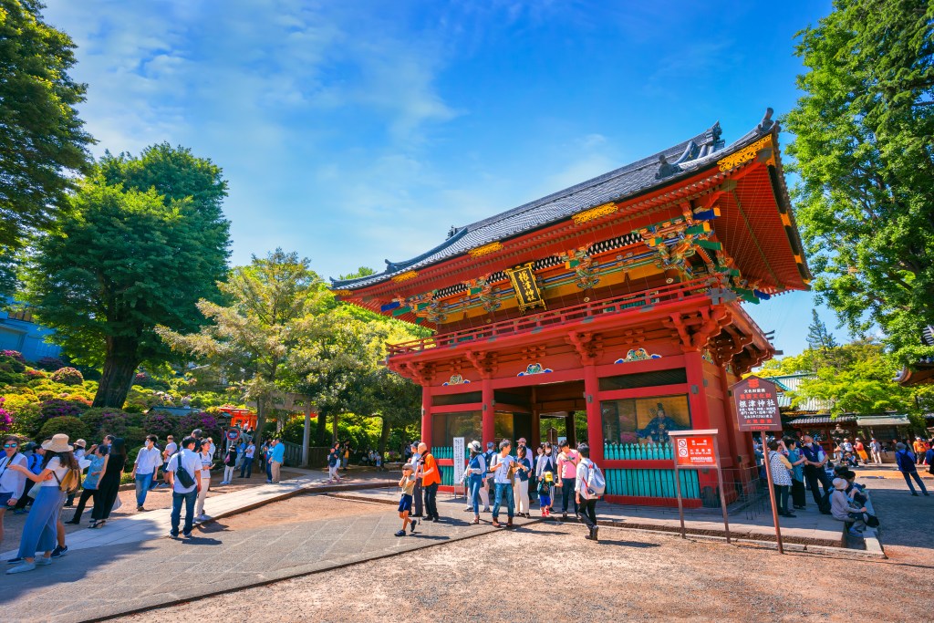 best guided tours of tokyo