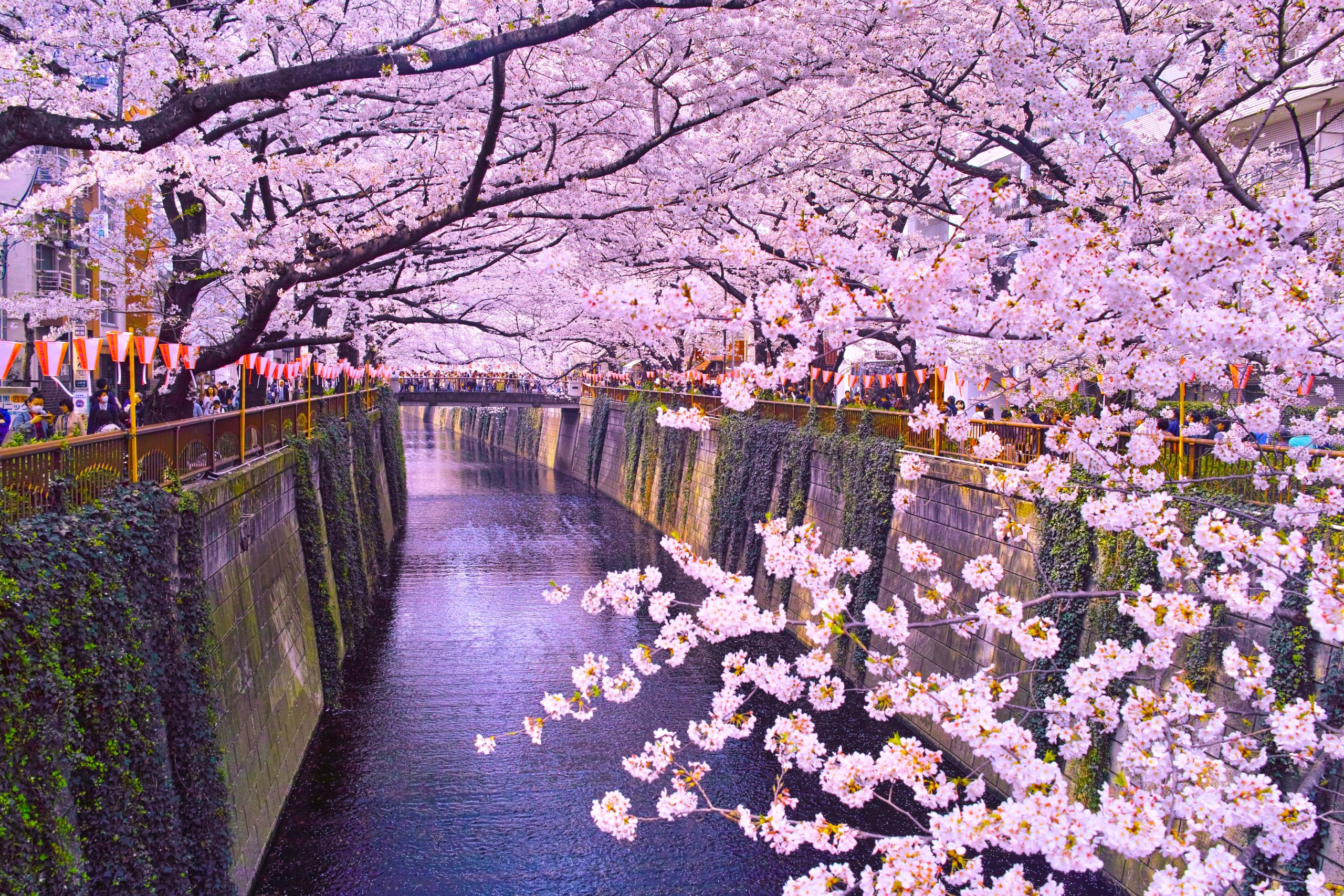 Japen Travel Guide