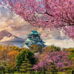 Osaka Tours