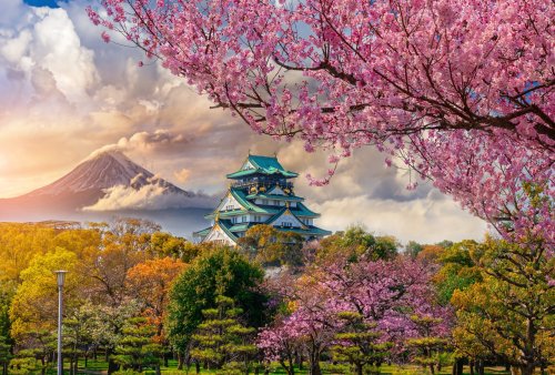 Osaka Tours