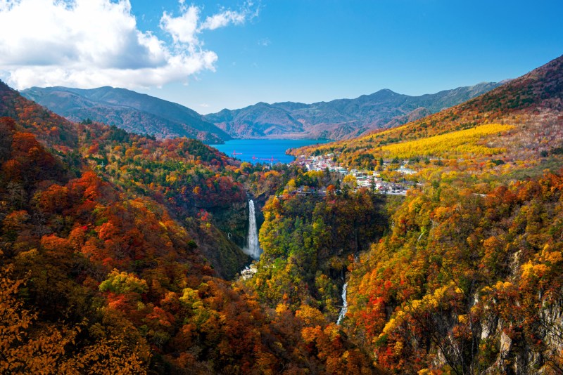 Shutterstock 1735352558 Scaled