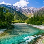 Nature Wildlife Tours