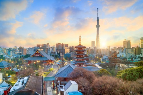 Tokyo City - Private Walking Tour