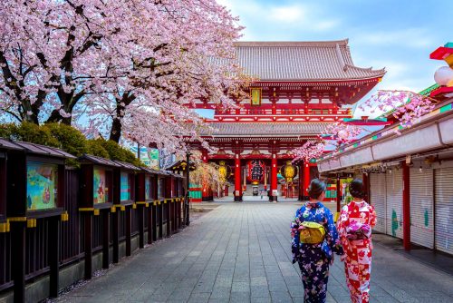 Tokyo Culture Experiences Tour